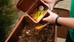 Mejores Compostadores
